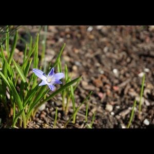 Meet your Posher, Carly